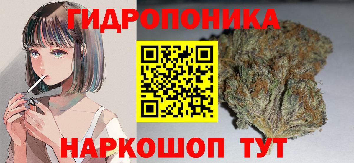 Каннабис индика Жуковский